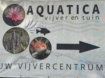 Verse bundels zuurstofplanten!  Vrijdagmiddag verse aanvoer beschikbaar voor biedingen