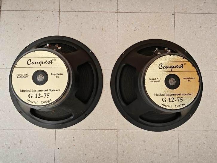 Conquest G 12-75, Musique & Instruments, Instruments | Pièces, Utilisé, Enlèvement ou Envoi