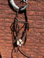 Norton pro mexicaans hoofdstel, Ophalen, Zo goed als nieuw