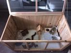 Hamster kooi met toebehoren 100x50x50 cm in hout, Dieren en Toebehoren, Kooi, Ophalen, Hamster