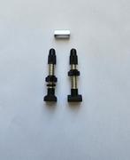 DT Swiss valve tubeless x2 NEUF, Verzenden, Nieuw, DT Swiss