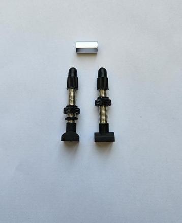DT Swiss valve tubeless x2 NEUF beschikbaar voor biedingen