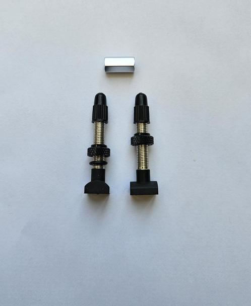DT Swiss valve tubeless x2 NEUF, Fietsen en Brommers, Fietsaccessoires | Overige Fietsaccessoires, Nieuw, Verzenden