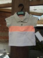 Poloshirt. maat 62 (C&A babyclub) nieuw, met label., Kinderen en Baby's, Kinderkleding | Maat 140, Verzenden, Nieuw, Jongen, Overige typen