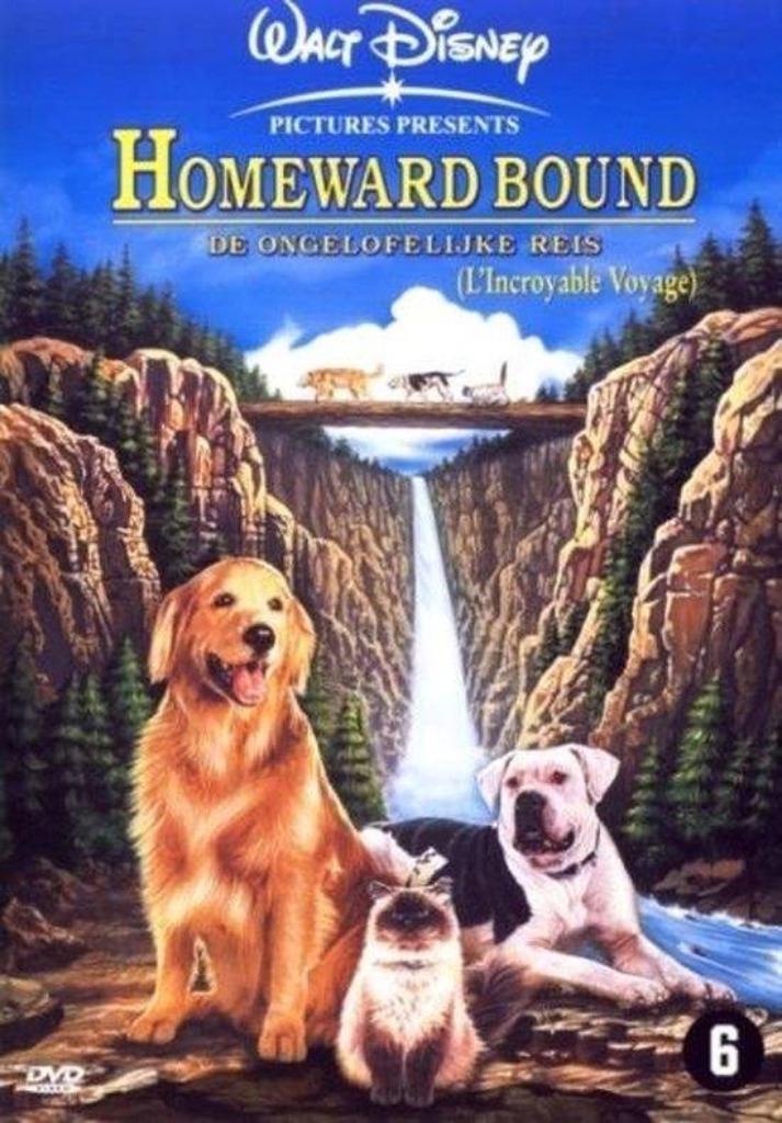 Disney dvd - Homeward Bound, Cd's en Dvd's, Dvd's | Kinderen en Jeugd, Avontuur, Ophalen of Verzenden