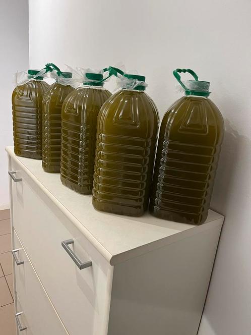 Huile d'olive marocaine extra vierge, 5 litres = 75,00 EURO,, Livres, Santé, Diététique & Alimentation, Neuf, Régime et Alimentation
