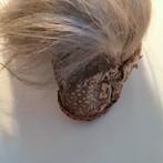 Oud Afrikaans hoedje met haar, Envoi