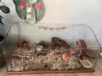 Leuk hok voor een hamster, Ophalen, Hok, Hamster