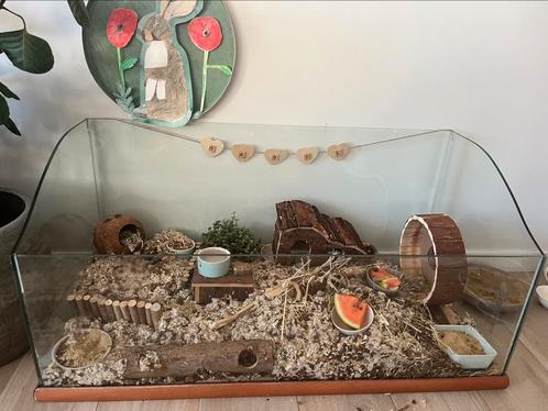Leuk hok voor een hamster, Dieren en Toebehoren, Knaagdieren en Konijnen | Hokken en Kooien, Hok, Hamster, Ophalen