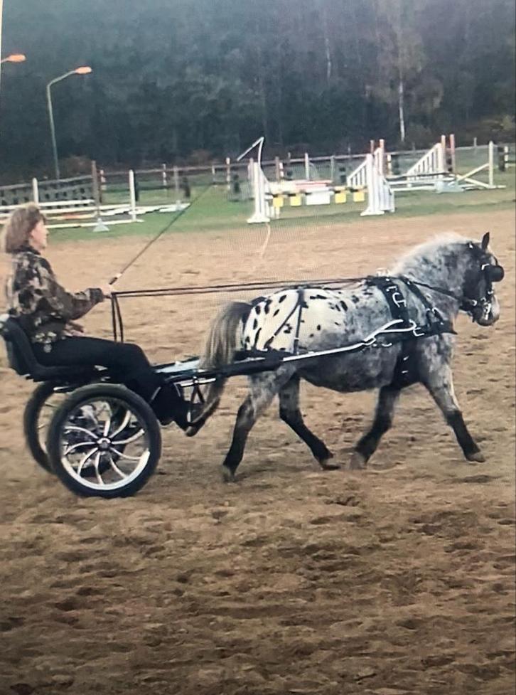 Mentuig biothane mini shet enkelspan, Dieren en Toebehoren, Paarden en Pony's | Hoofdstellen en Tuigage, Zo goed als nieuw, Overige soorten