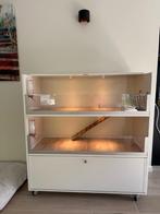 Caviaflat, Dieren en Toebehoren, Ophalen, 90 cm of meer, Hok, Cavia