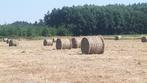 Boules de foin, Zakelijke goederen, Landbouw | Veevoer, Ophalen