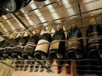 Lot Champagne 9 fl., Verzamelen, Ophalen, Champagne
