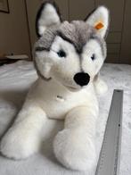 Steiff Husky Bernie, Verzamelen, Ophalen of Verzenden, Zo goed als nieuw, Stoffen beer, Steiff