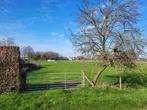 weide te huur, Dieren en Toebehoren, Stalling en Weidegang