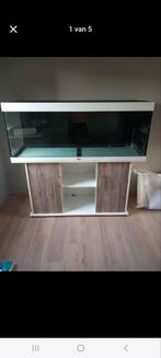 Juwel rio 400, Dieren en Toebehoren, Ophalen, Gebruikt, Leeg aquarium