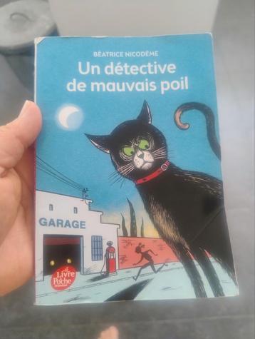 Un détective de mauvais poil  beschikbaar voor biedingen