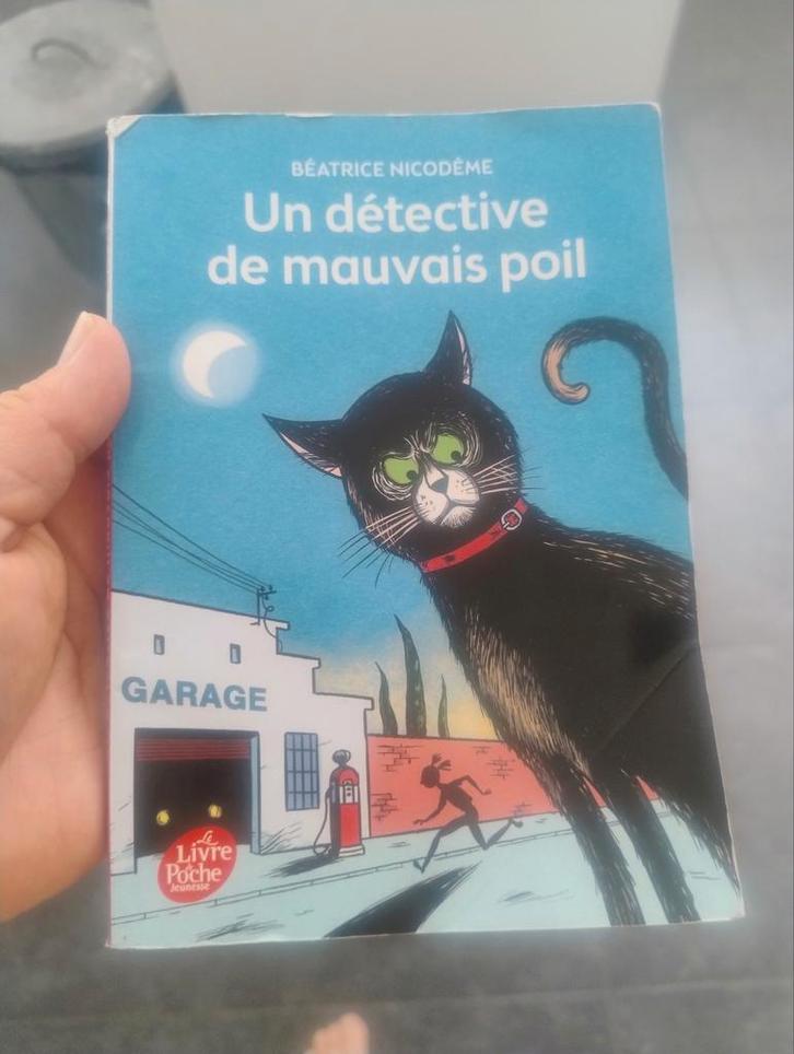 Un détective de mauvais poil, Boeken, Schoolboeken, Nederlands, ASO, Ophalen of Verzenden