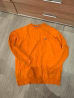 Sweater burberry, Kleding | Heren, Truien en Vesten, Ophalen of Verzenden, Zo goed als nieuw, Maat 48/50 (M)