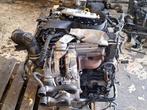 Motor van een Volkswagen Polo, Auto-onderdelen, Motor en Toebehoren, Ophalen of Verzenden, 3 maanden garantie, Gebruikt, Volkswagen