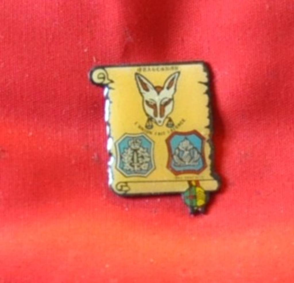 pin's quaregnon police union fais la force, Ophalen of Verzenden, Zo goed als nieuw