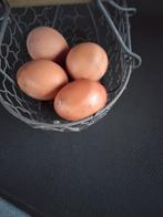 Scharreleieren, Diversen, Levensmiddelen, Ophalen