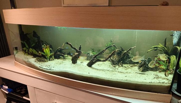 Aquarium Panorama Custom made, Dieren en Toebehoren, Vissen | Aquaria en Toebehoren, Gebruikt, Leeg aquarium, Ophalen