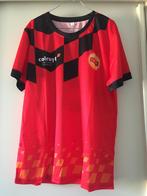Shirts Colruyt Bryce Tea Xl, Maat XL, Ophalen of Verzenden, Zo goed als nieuw