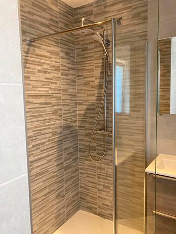 Douchewand met draaipaneel, B 77/79 cm - H 197,5 cm beschikbaar voor biedingen
