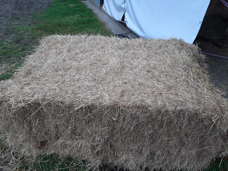 hooi en stro geleverd, Dieren en Toebehoren, Overige Dieren, Geslacht onbekend, Juni