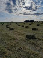 Petits ballots de foin