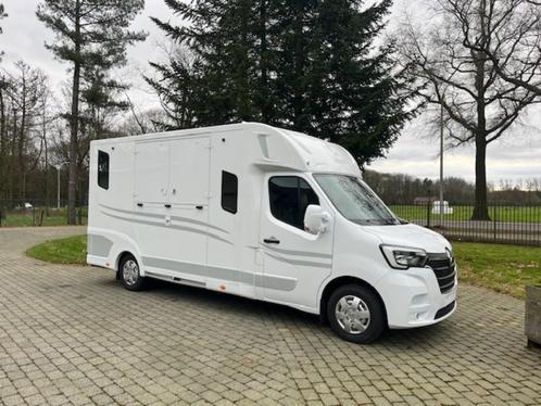 Theault Renault Master dubb cabine, Dieren en Toebehoren, Paarden en Pony's | Trailers en Aanhangwagens, Zo goed als nieuw, 2-paards trailer