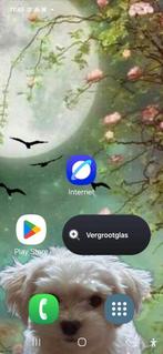 Samsung S21 FE 5G, Ophalen of Verzenden, Zo goed als nieuw