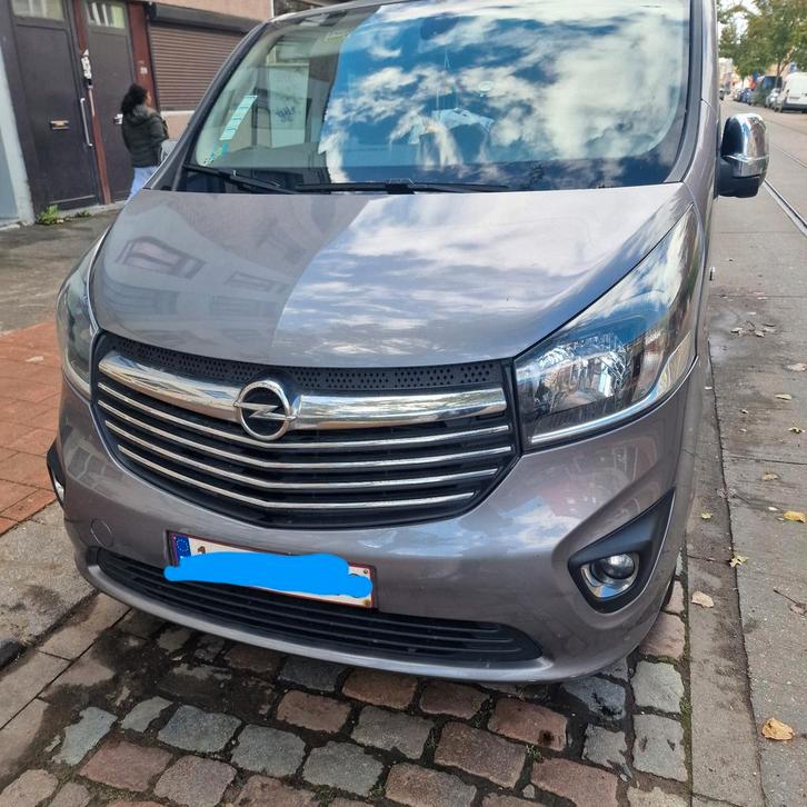 Opel Vivaro, Auto's, Opel, Particulier, Vivaro, Bluetooth, Cruise Control, Diesel, Ophalen