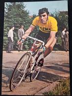 Foto/postkaart Eddy Merckx, Ophalen of Verzenden, Zo goed als nieuw