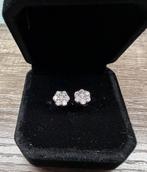 18K witgouden oorbellen met 14 diamanten, Handtassen en Accessoires, Oorbellen, Ophalen, Wit, Nieuw, Met edelsteen