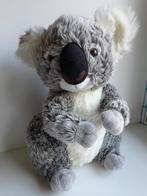 Knuffel Koalabeer van Zoo Planckendael, Ophalen of Verzenden, Zo goed als nieuw