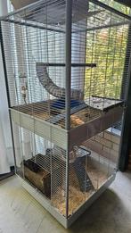 Cage xxl 2 étages, Dieren en Toebehoren, Knaagdieren en Konijnen | Toebehoren