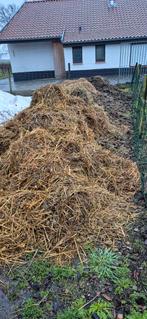 Gratis paardenmest, Jardin & Terrasse, Terre & Fumier, Enlèvement