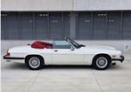 JAGUAR XJS V 12 CABRIOLET, Achat, Beige, Entreprise, Cabriolet