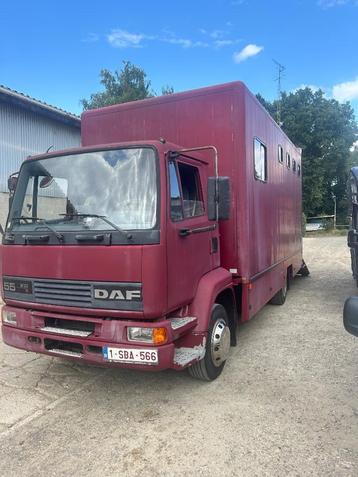 Paardenvrachtwagen  beschikbaar voor biedingen