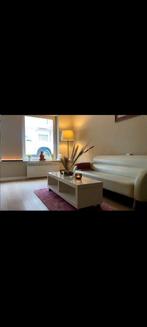 Over te nemen Salon Massage in Ghent centrum.