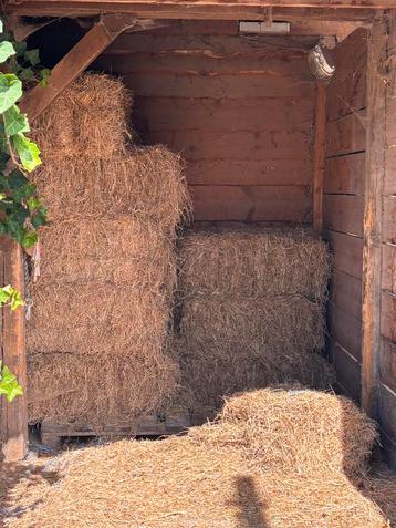 +_ 12 kleine botjes hooi wegens verhuis beschikbaar voor biedingen