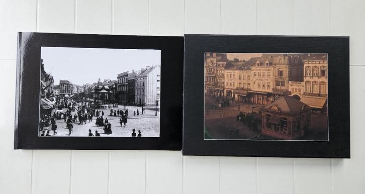 Martin Fettweis: 1895 tot 1932, Boeken, Geschiedenis | Nationaal, Zo goed als nieuw, Ophalen of Verzenden