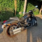 Harley Davidson Night Rod Special, Motoren, Motoren | Harley-Davidson, Particulier