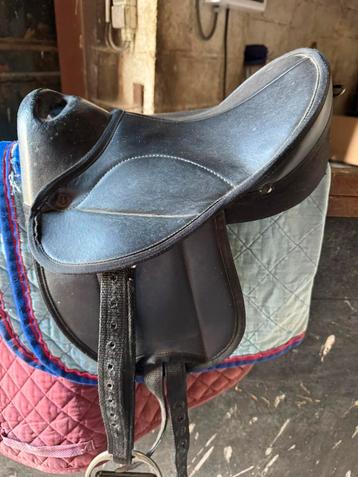 6 zadels MOETEN WEG beschikbaar voor biedingen