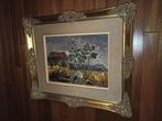 Schilderij, Ophalen, Gebruikt, 50 tot 75 cm, Schilderij