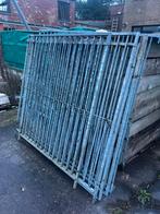 Honden ren te koop, Dieren en Toebehoren, Ophalen, Zo goed als nieuw