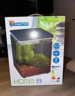 Aquarium betta of garnaal, Dieren en Toebehoren, Ophalen, Gebruikt