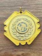 Karnaval medaille orde van de ezel, Ophalen of Verzenden, Zo goed als nieuw, Stad of Land, Button